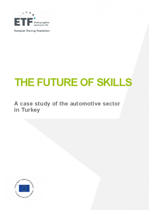 The future of skills: A case study of the automotive sector in Turkey