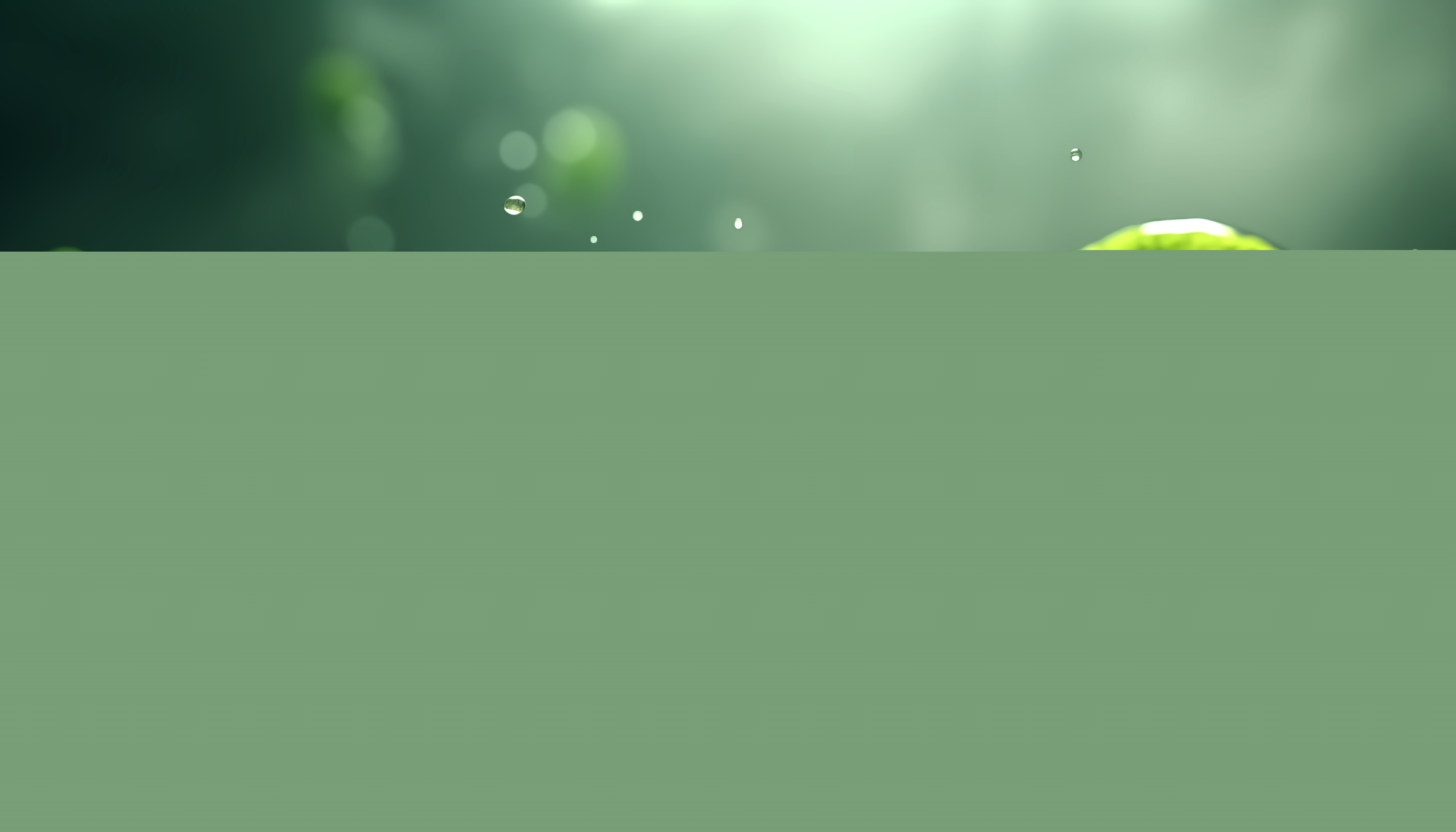 Skills for the green economy