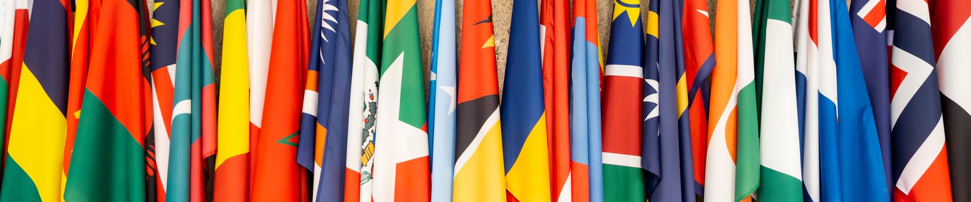 ESCO 1.2: a global language for skills
