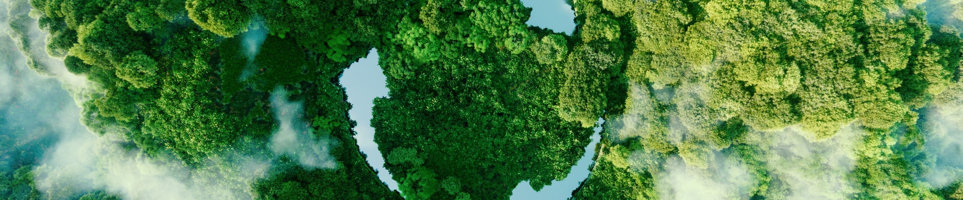 Building Green: Sustainability Frameworks for Greening. Moving forward in provision of skills for the green transition