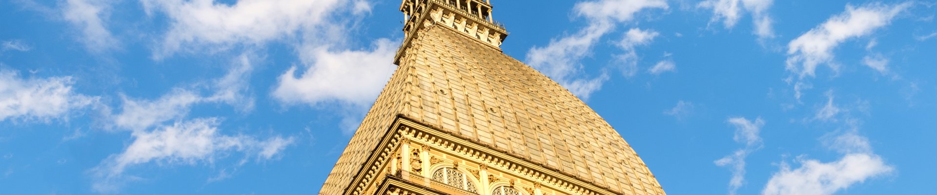 Torino Process monitoring: Presentation of preliminary cross-country results for 2024