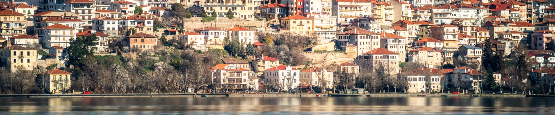 Selfie for teachers dissemination event North Macedonia - Online meeting