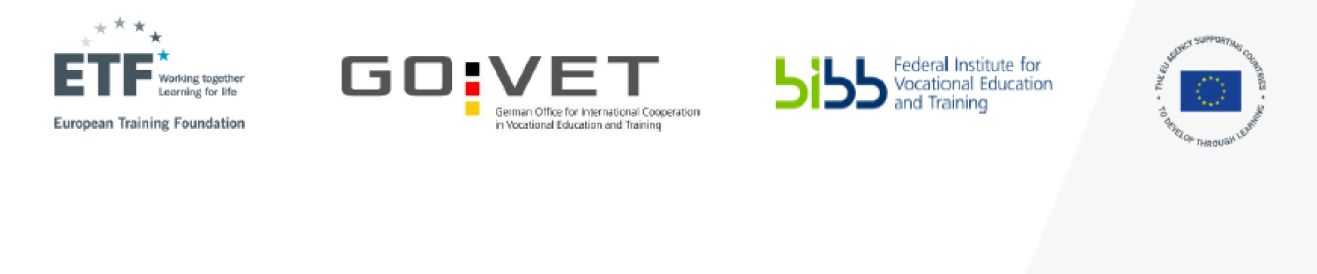 GOVET ETF