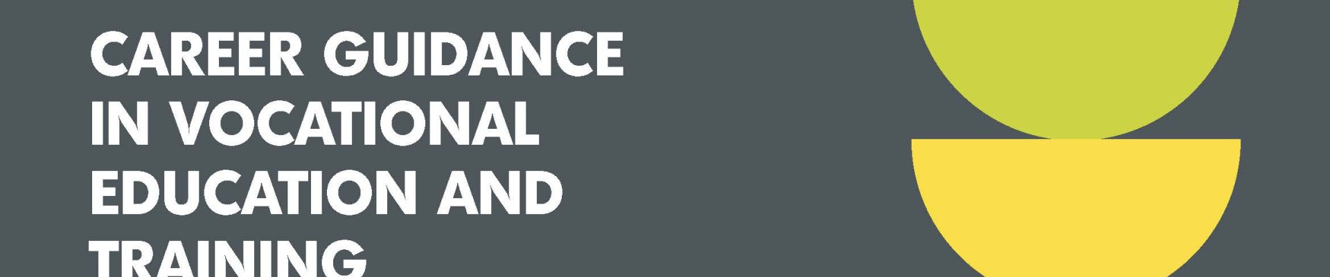 Career guidance in vocational education and training