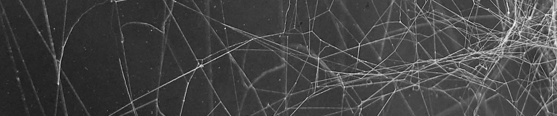 Close up image of a tangled spiderweb on a grey background