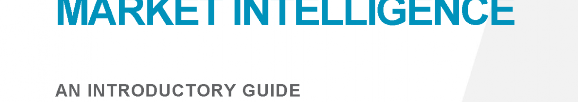 Big Data for labour market intelligence: An introductory guide