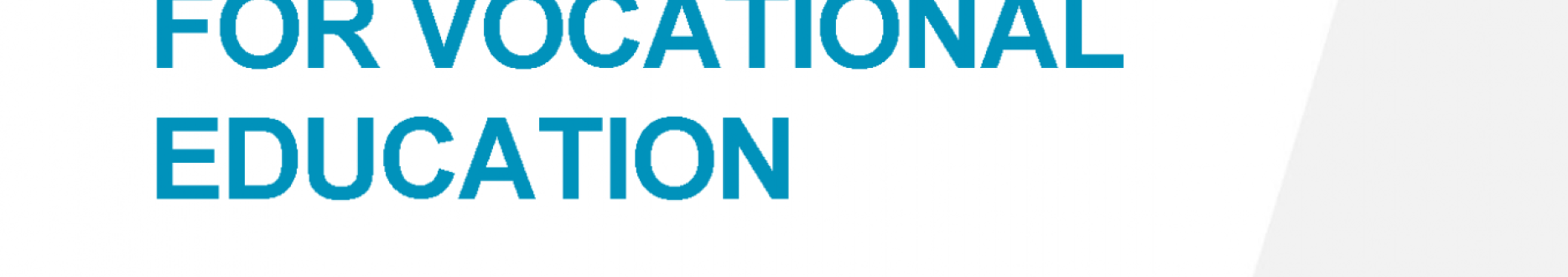 Video pedagogy for vocational education: An overview of video-based teaching and learning