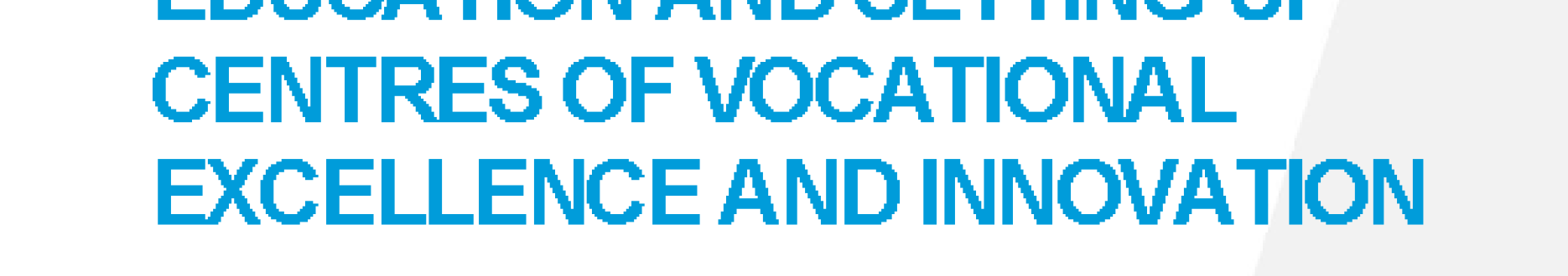 Decentralising vocational education and setting up centres of vocational excellence and innovation: The case of Ukraine