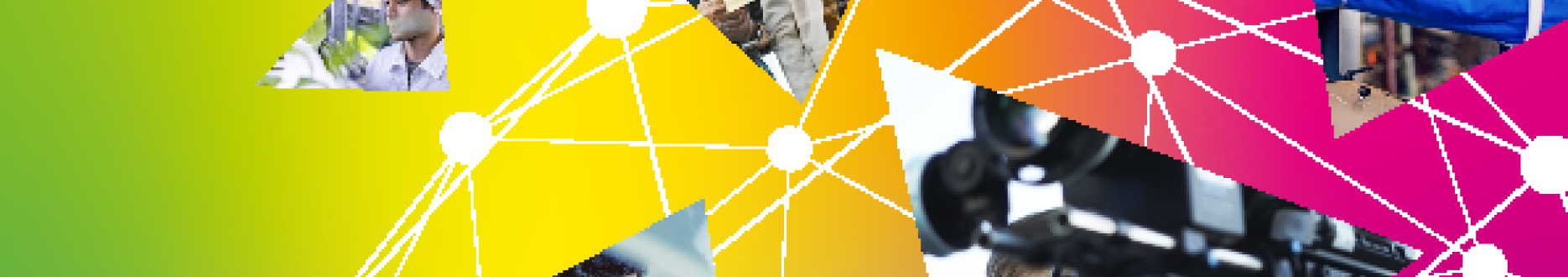 Changing skills for a changing world: Understanding skills demand in EU neighbouring countries
