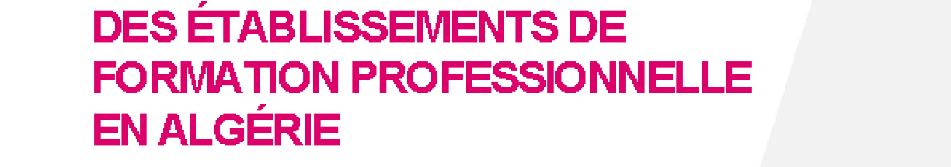 Formation professionnelle continue pour les enseignants des établissements de formation professionnelle en Algérie