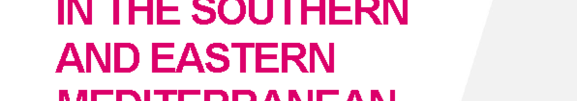 Youth in transition in the Southern and Eastern Mediterranean: Identifying profiles and characteristics to tap into young people’s potential