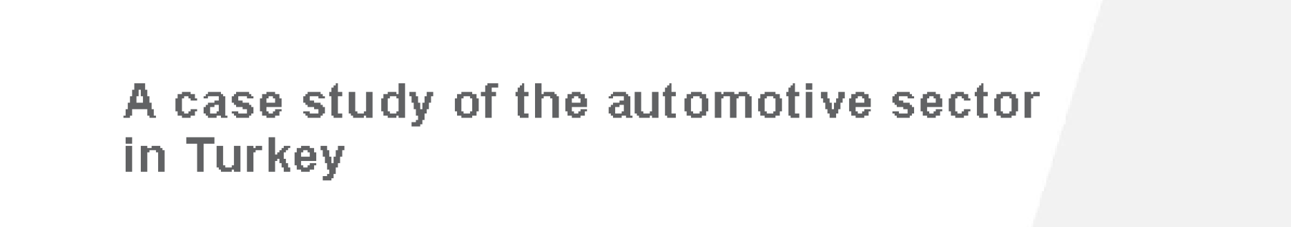 The future of skills: A case study of the automotive sector in Turkey