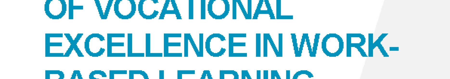 The role of centres of vocational excellence in work-based learning