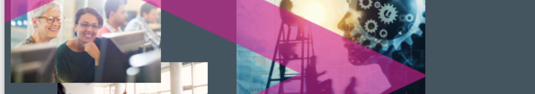 CSO HCD LLL Thematic paper 2024