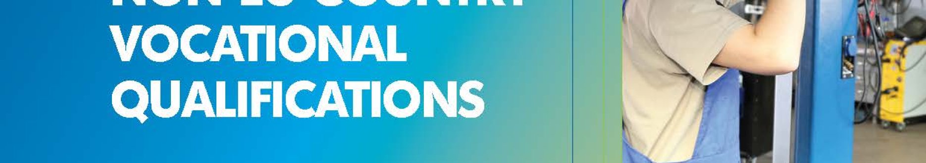Qualification data needs to support recognition of non-EU country vocational qualifications.