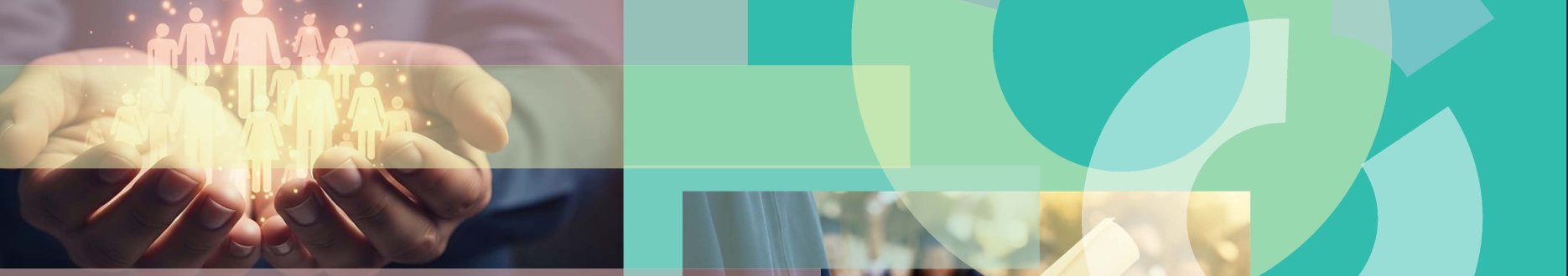 The role of civil society organisations in human capital development and lifelong learning