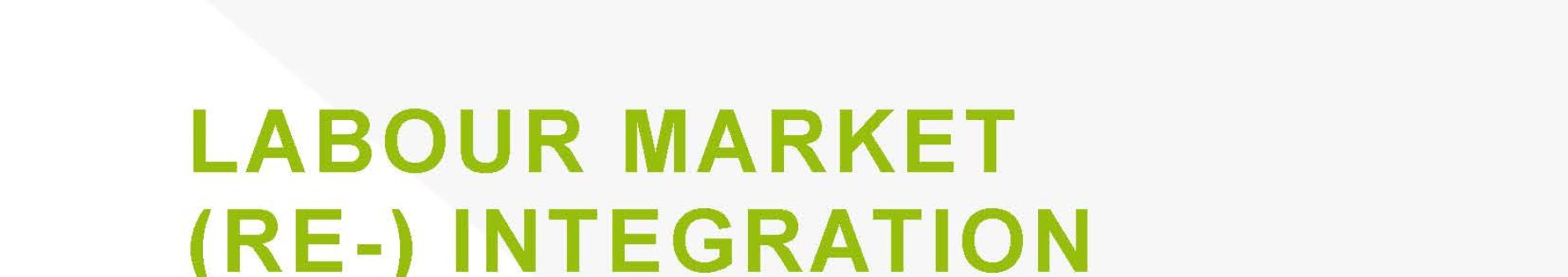 Labour market (re-) integration and skills development for persons with disabilities - Bosnia and Herzegovina