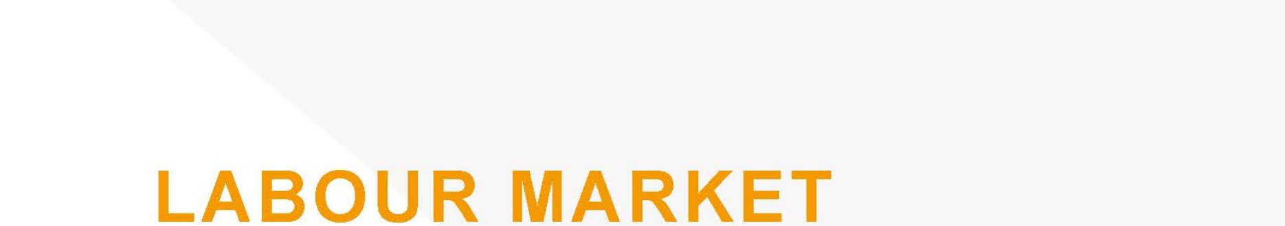 Labour market (re-) integration and skills development for persons with disabilities - Kazakhstan