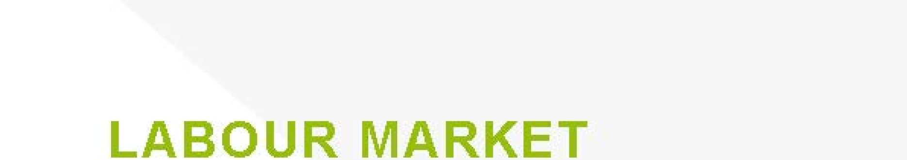 Labour market (re-) integration and skills development for persons with disabilities - Serbia