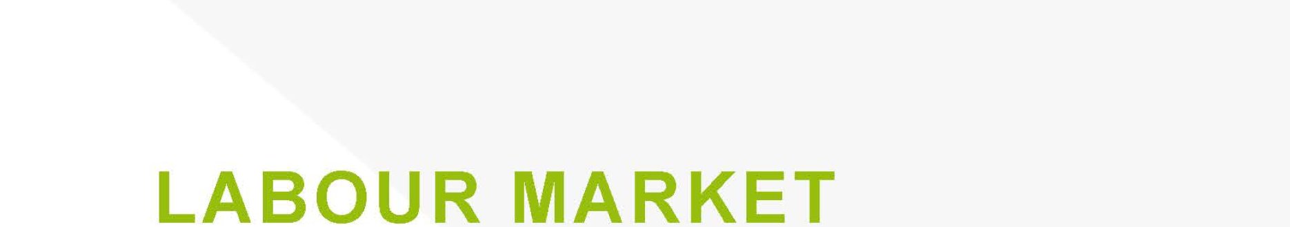 Labour market (re-) integration and skills development for persons with disabilities - Türkiye
