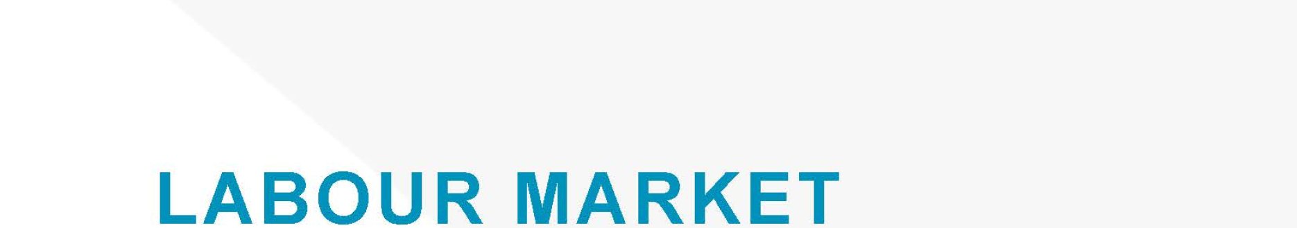 Labour market (re-) integration and skills development for persons with disabilities - Ukraine