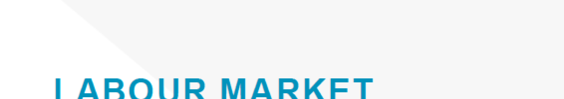 Labour market (re-)integration and skills development for persons with disabilities – Armenia