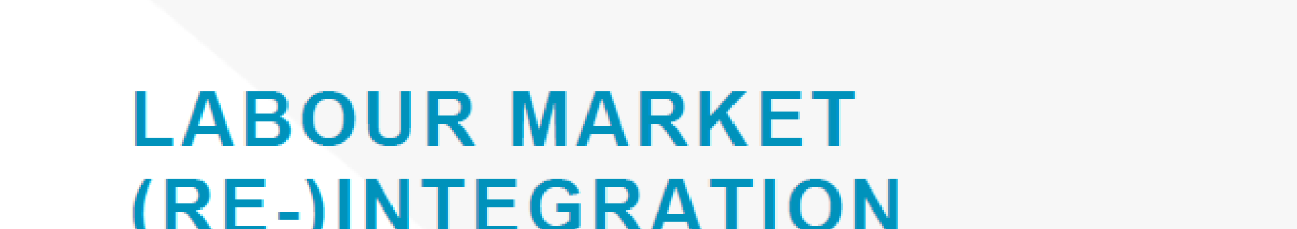 Labour market (re-)integration and skills development for persons with disabilities – Moldova