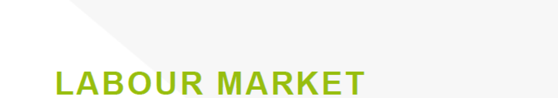 Labour market (re-)integration and skills development for persons with disabilities – Montenegro