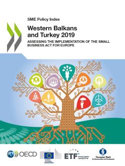 SME Policy Index: Western Balkans and Turkey 2019 – Assessing the implementation of the Small Business Act for Europe 