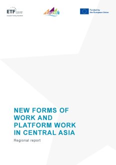 Platform work in Central Asia