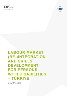 Labour market (re-) integration and skills development for persons with disabilities - Türkiye