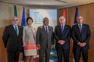 Matching talent and jobs in the mediterranean