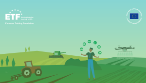 The Future of Skills in Morocco