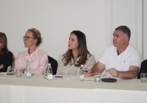 Torino Process Kosovo 2023