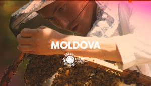 moldova 30 years