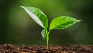 Green Skills Awards 2026