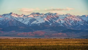 DARYA High-Level Group Meeting 