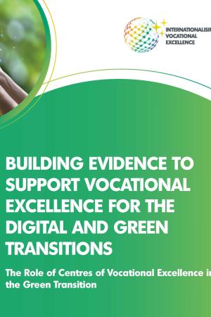 Building evidence to support vocational excellence for the digital and green transistions.