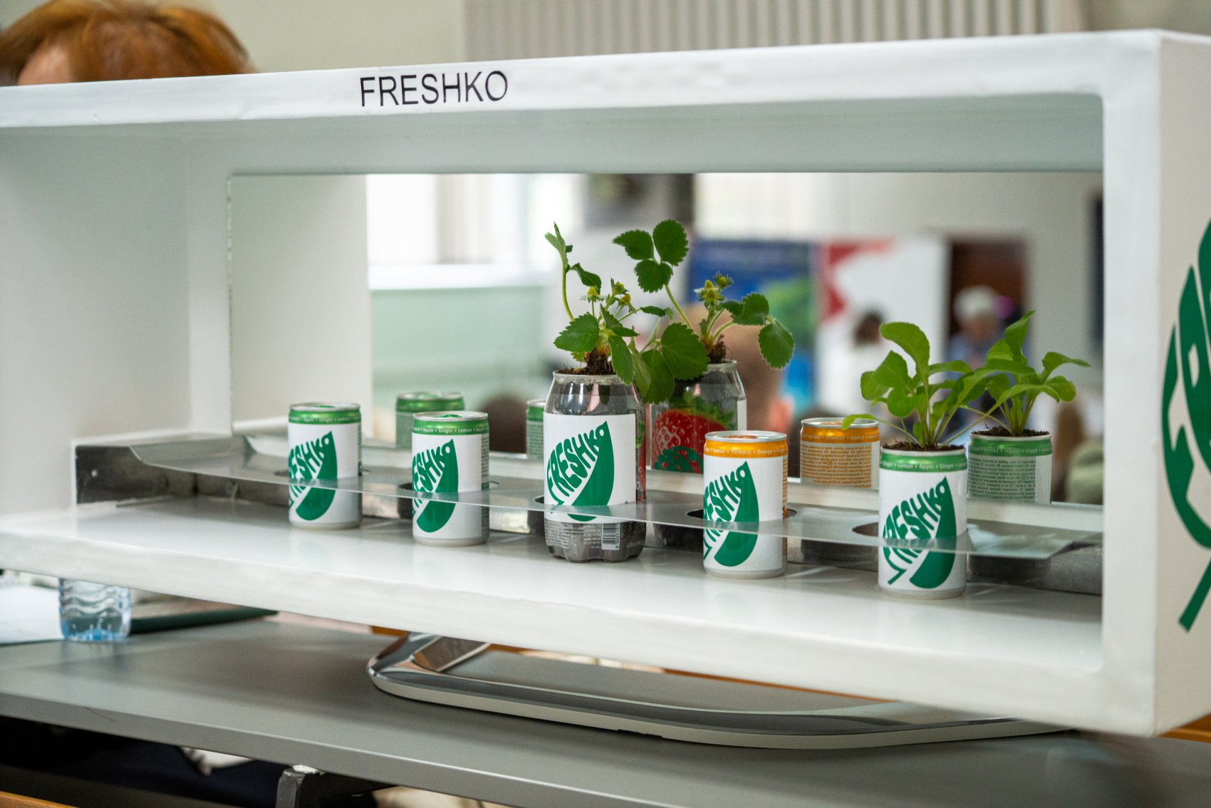 An innovative green business idea to use recycled cans to grow plants