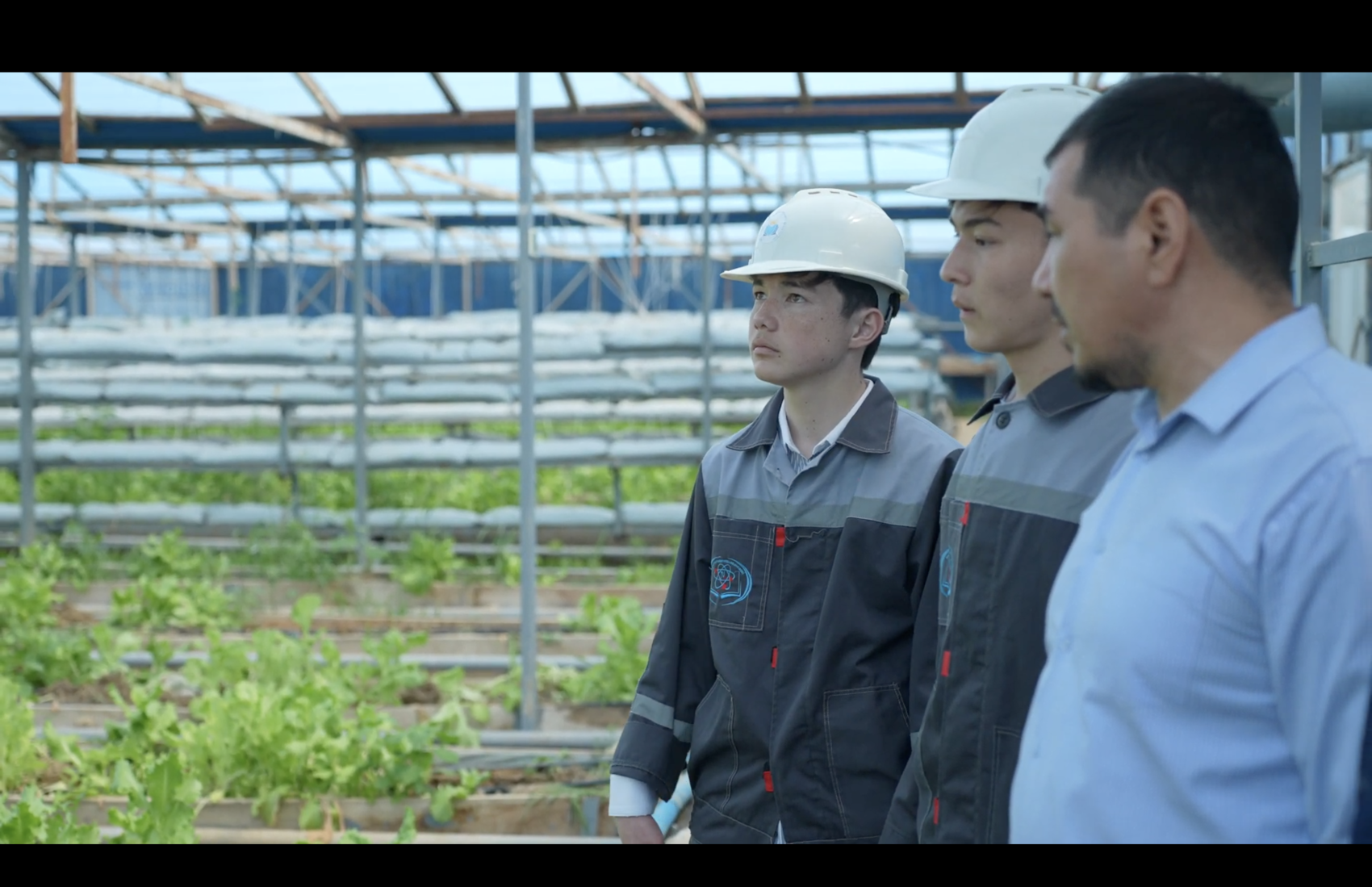 Students with a teacher studying crop cultivation using energy efficient systems