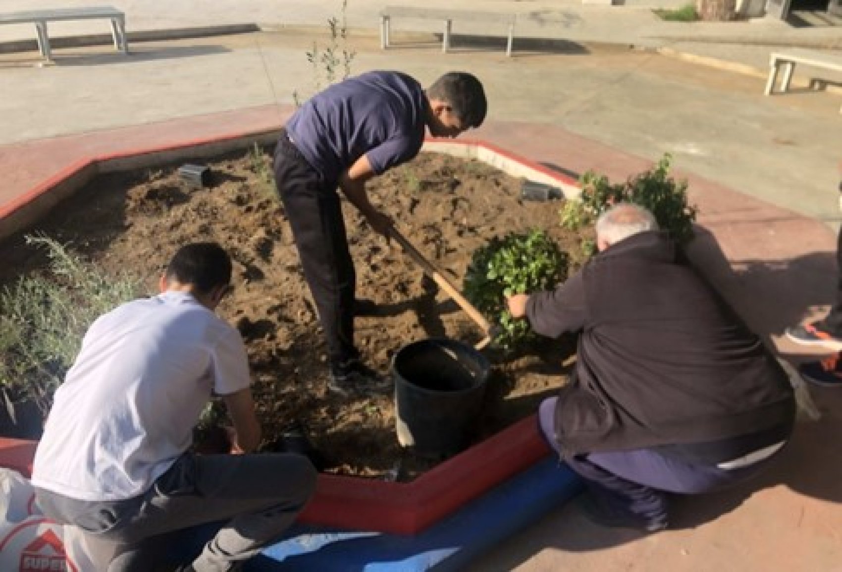 School children planting plants