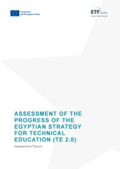Assessment of the Progress of the Egyptian Strategy for Technical Education (TE 2.0)