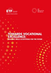 Towards vocational excellence