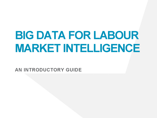 Big Data for labour market intelligence: An introductory guide