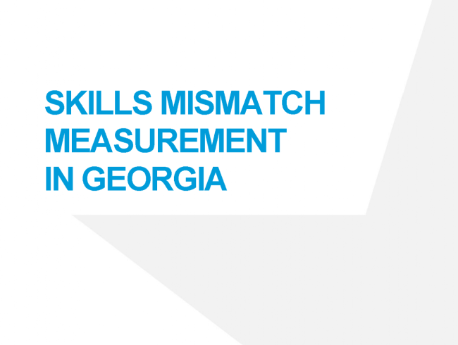 Skills mismatch measurement in Georgia