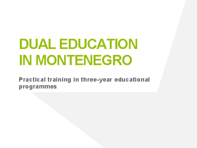 Dual education in Montenegro: Practical training in three-year educational programmes