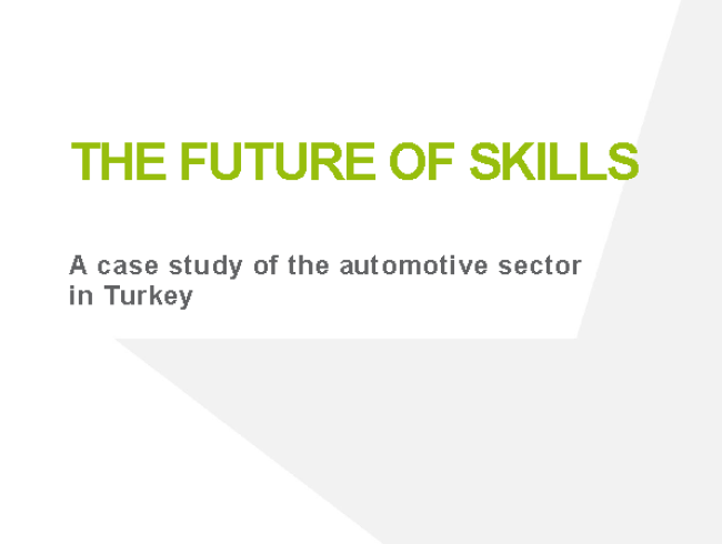 The future of skills: A case study of the automotive sector in Turkey