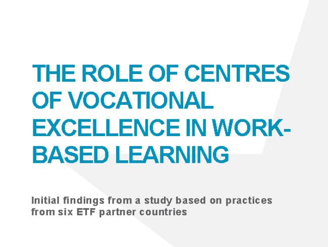 The role of centres of vocational excellence in work-based learning