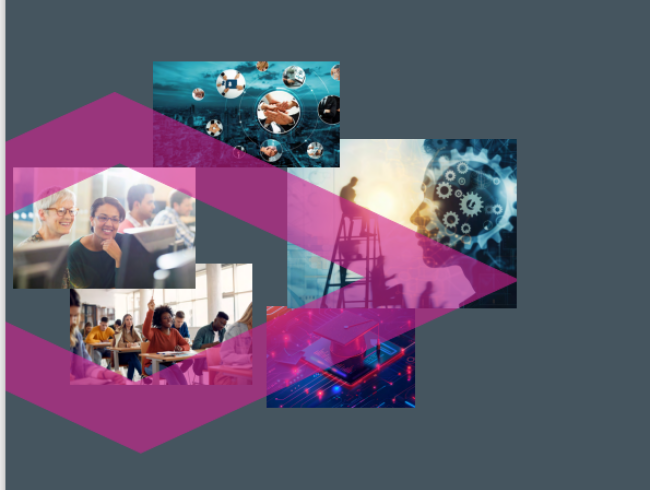 CSO HCD LLL Thematic paper 2024
