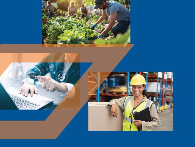 From skills anticipation to skills action